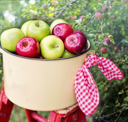 Benefits of apples. Helps with constipation, diarrhoea...