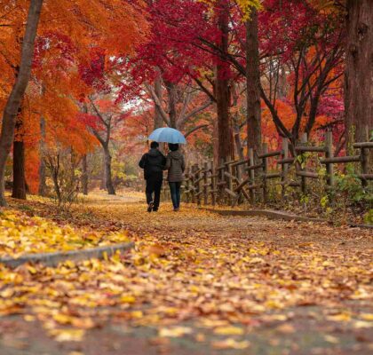 Regular physical activity to mitigate autumnal asthenia